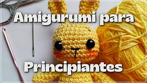 Lee más sobre el artículo Amigurumi para Principiantes